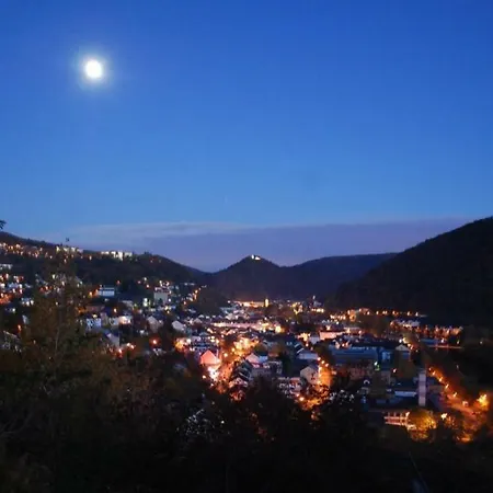 Sonnenfels **** Apartment Bad Ems